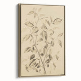 Vintage Botanical Art Prints: Soft Leaves in Beige
