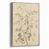 Vintage Botanical Art Prints: Soft Leaves in Beige