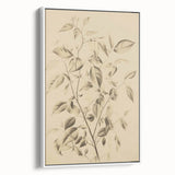 Vintage Botanical Art Prints: Soft Leaves in Beige