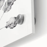 Vintage Botanical Art Print: Fiddle Leaf Plant in Black & White