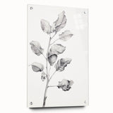 Vintage Botanical Art Print: Fiddle Leaf Plant in Black & White