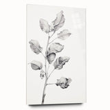 Vintage Botanical Art Print: Fiddle Leaf Plant in Black & White
