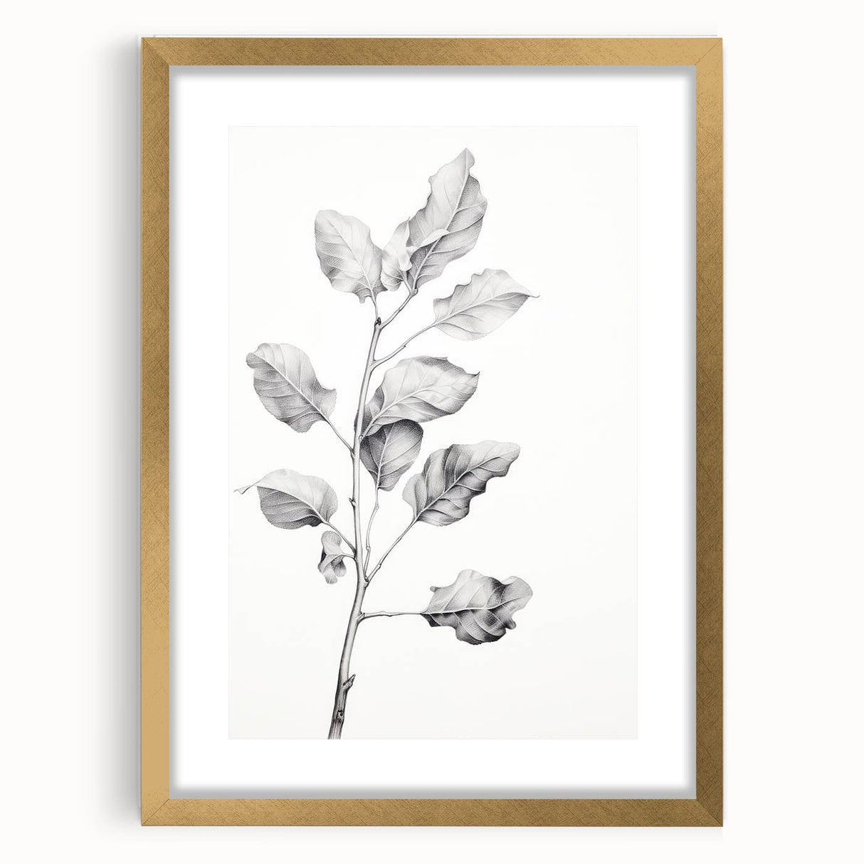 Vintage Botanical Art Print: Fiddle Leaf Plant in Black & White