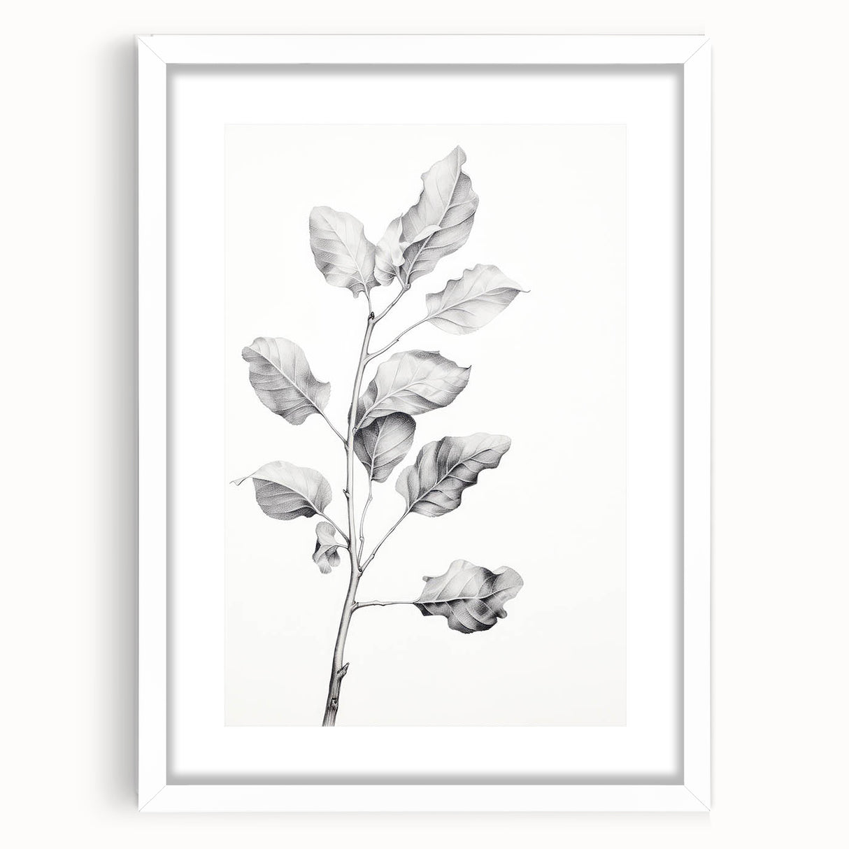 Vintage Botanical Art Print: Fiddle Leaf Plant in Black & White