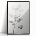 Vintage Botanical Art Print: Fiddle Leaf Plant in Black & White