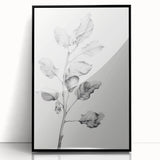 Vintage Botanical Art Print: Fiddle Leaf Plant in Black & White