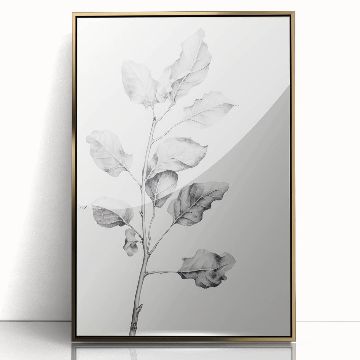 Vintage Botanical Art Print: Fiddle Leaf Plant in Black & White