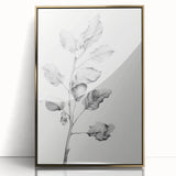 Vintage Botanical Art Print: Fiddle Leaf Plant in Black & White