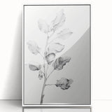 Vintage Botanical Art Print: Fiddle Leaf Plant in Black & White
