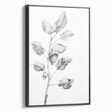 Vintage Botanical Art Print: Fiddle Leaf Plant in Black & White