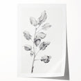 Vintage Botanical Art Print: Fiddle Leaf Plant in Black & White