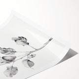 Vintage Botanical Art Print: Fiddle Leaf Plant in Black & White