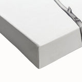 Vintage Botanical Art Print: Fiddle Leaf Plant in Black & White