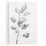Vintage Botanical Art Print: Fiddle Leaf Plant in Black & White