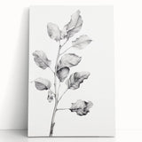 Vintage Botanical Art Print: Fiddle Leaf Plant in Black & White