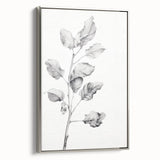 Vintage Botanical Art Print: Fiddle Leaf Plant in Black & White