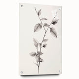 Vintage Botanical Art Print: Elegant Leaf Stem in Black & White