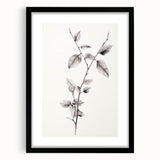 Vintage Botanical Art Print: Elegant Leaf Stem in Black & White