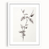Vintage Botanical Art Print: Elegant Leaf Stem in Black & White