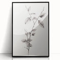 Vintage Botanical Art Print: Elegant Leaf Stem in Black & White