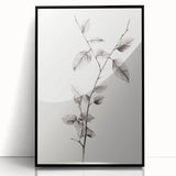Vintage Botanical Art Print: Elegant Leaf Stem in Black & White