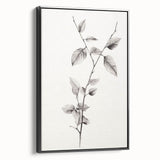 Vintage Botanical Art Print: Elegant Leaf Stem in Black & White