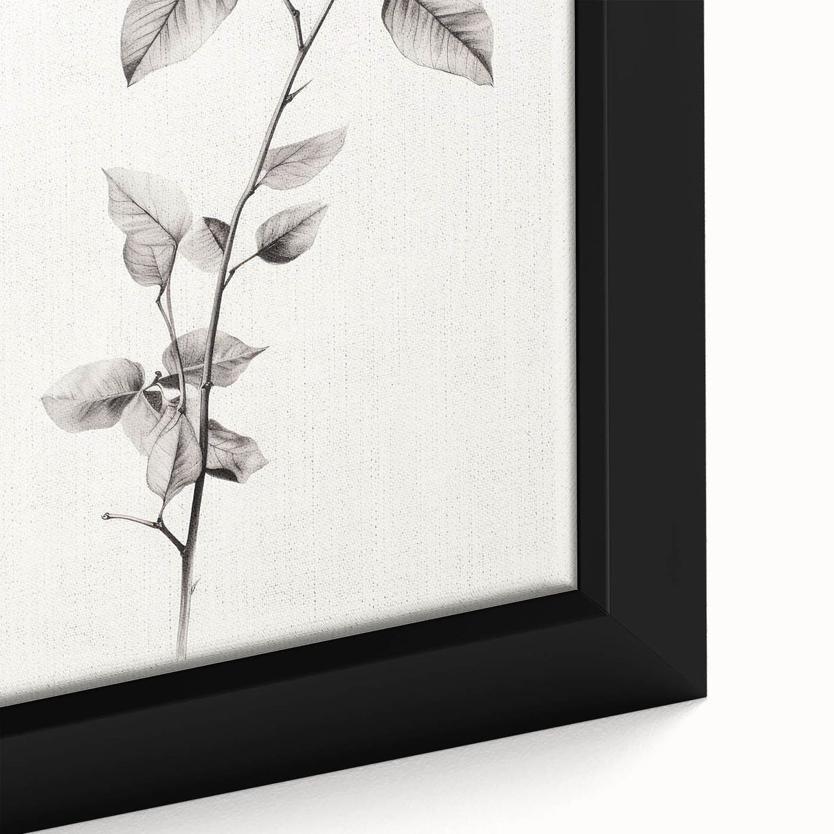 Vintage Botanical Art Print: Elegant Leaf Stem in Black & White