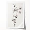 Vintage Botanical Art Print: Elegant Leaf Stem in Black & White