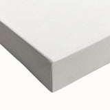 Vintage Botanical Art Print: Elegant Leaf Stem in Black & White