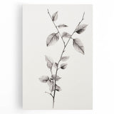 Vintage Botanical Art Print: Elegant Leaf Stem in Black & White