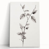 Vintage Botanical Art Print: Elegant Leaf Stem in Black & White