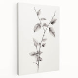 Vintage Botanical Art Print: Elegant Leaf Stem in Black & White