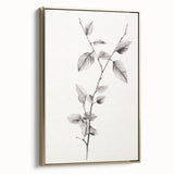 Vintage Botanical Art Print: Elegant Leaf Stem in Black & White