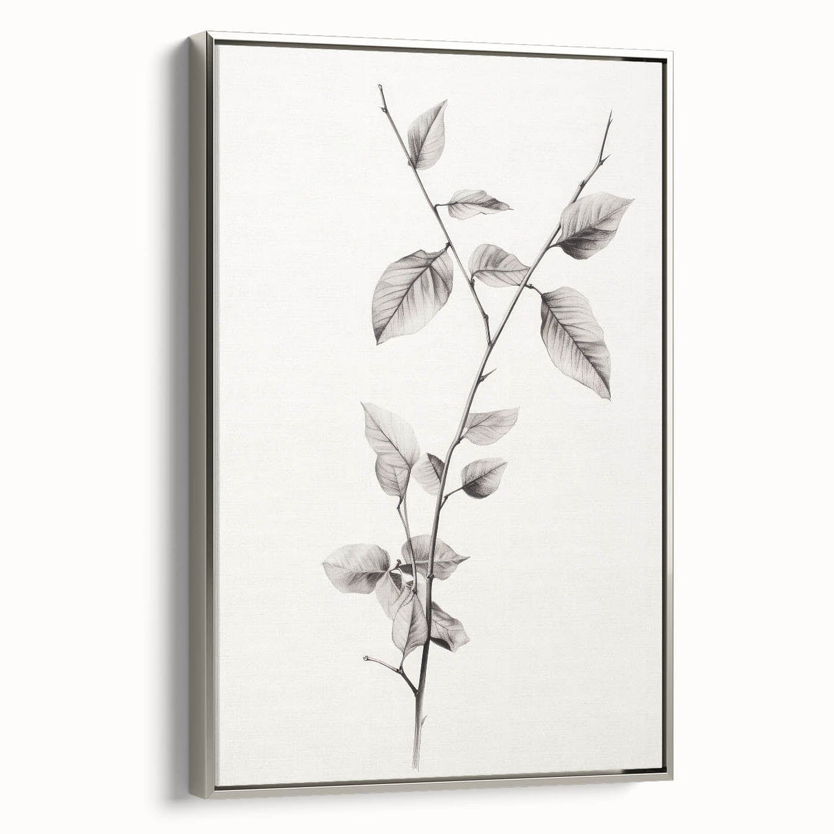 Vintage Botanical Art Print: Elegant Leaf Stem in Black & White