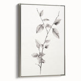 Vintage Botanical Art Print: Elegant Leaf Stem in Black & White