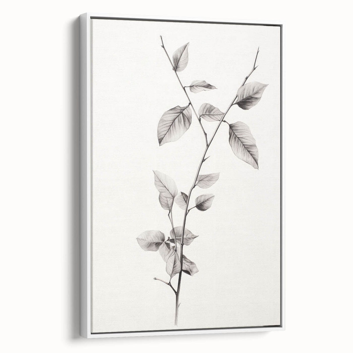 Vintage Botanical Art Print: Elegant Leaf Stem in Black & White
