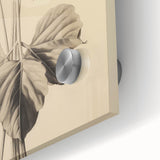 Vintage Botanical Art Print: Elegant Leaf Stem Illustration