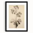 Vintage Botanical Art Print: Elegant Leaf Stem Illustration