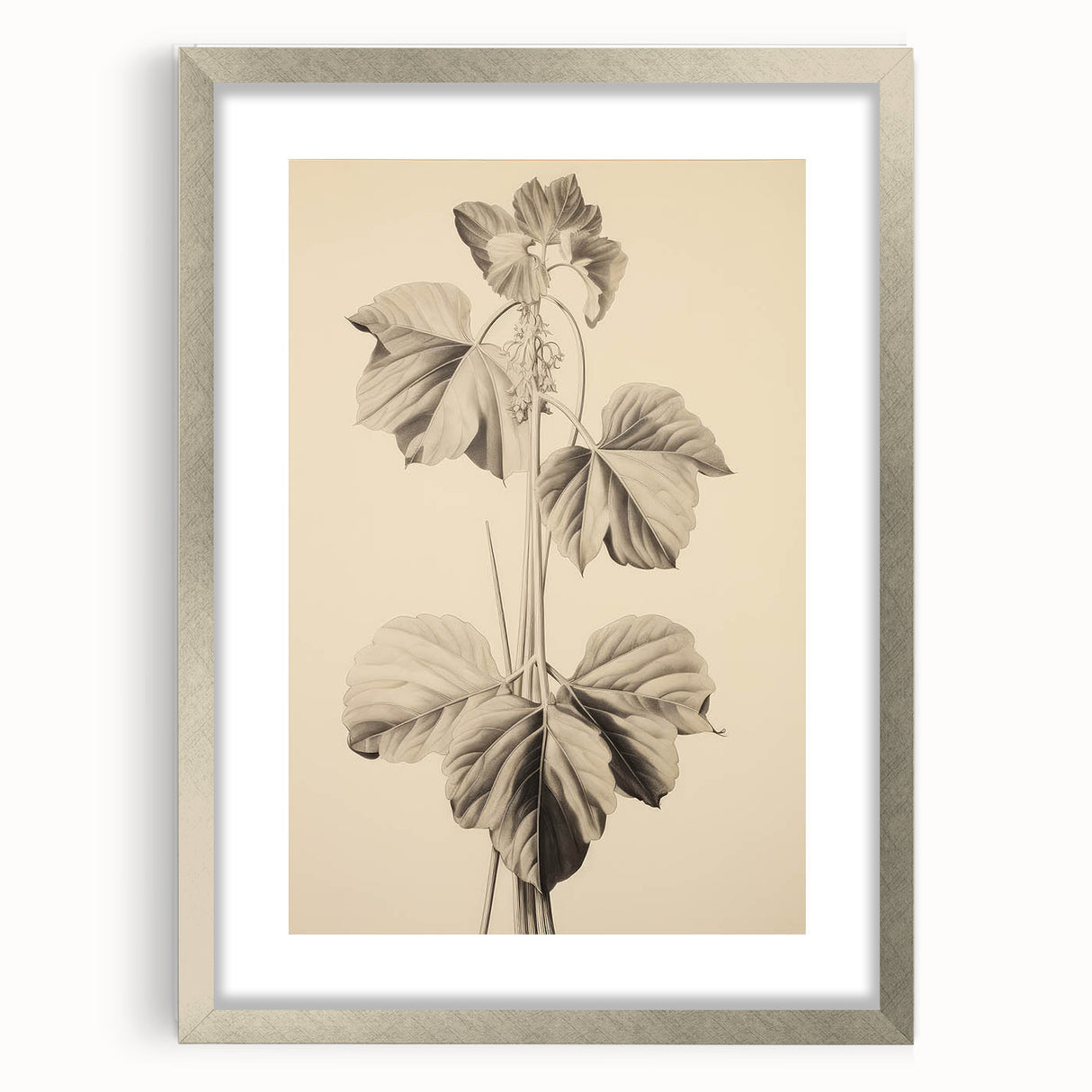 Vintage Botanical Art Print: Elegant Leaf Stem Illustration