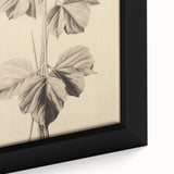 Vintage Botanical Art Print: Elegant Leaf Stem Illustration