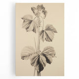 Vintage Botanical Art Print: Elegant Leaf Stem Illustration