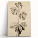 Vintage Botanical Art Print: Elegant Leaf Stem Illustration