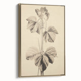 Vintage Botanical Art Print: Elegant Leaf Stem Illustration