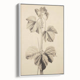 Vintage Botanical Art Print: Elegant Leaf Stem Illustration