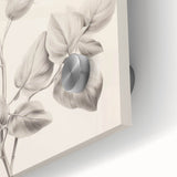Vintage Botanical Art Print: Detailed Floral Leaf Illustration