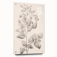 Vintage Botanical Art Print: Detailed Floral Leaf Illustration