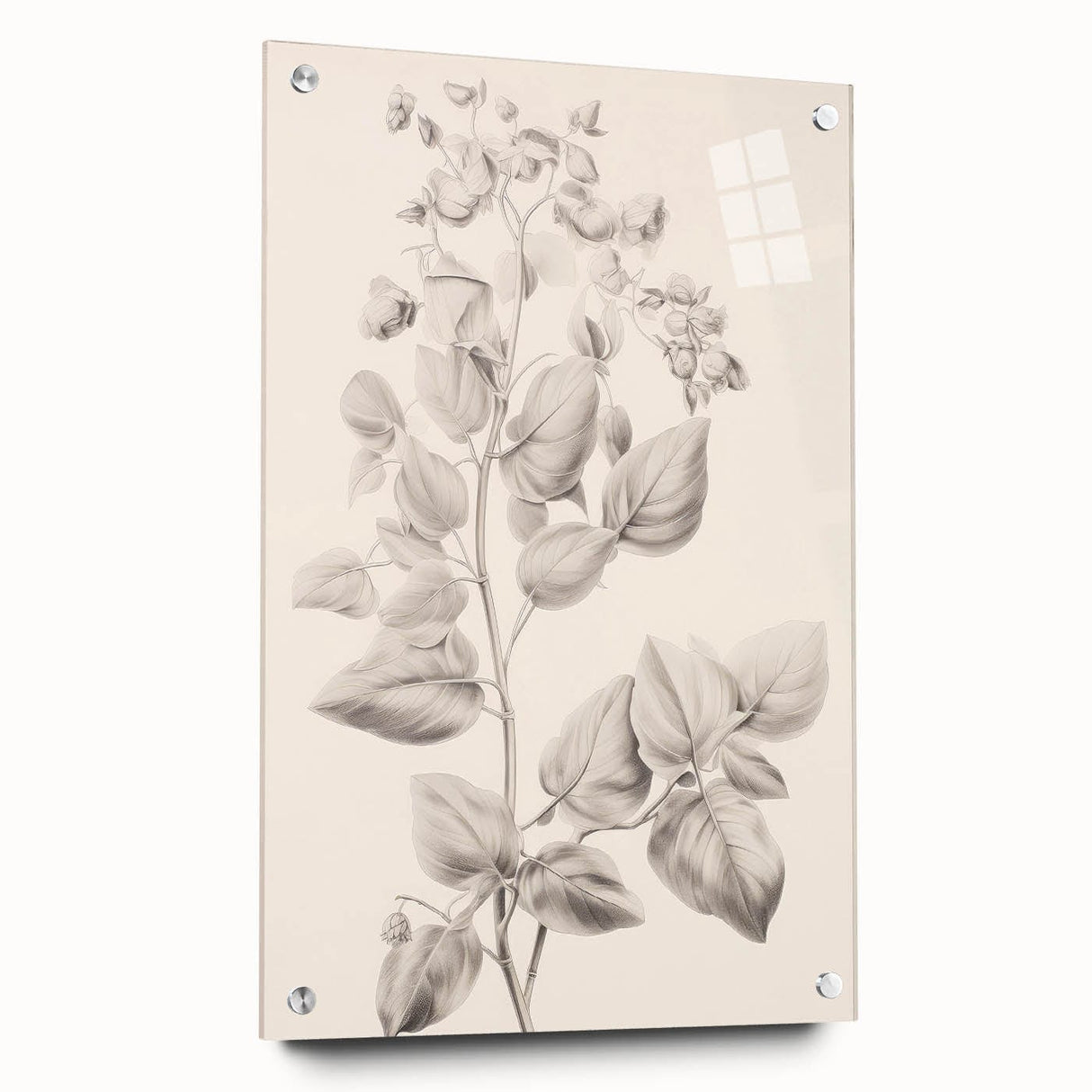 Vintage Botanical Art Print: Detailed Floral Leaf Illustration