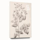 Vintage Botanical Art Print: Detailed Floral Leaf Illustration