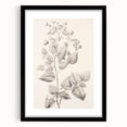 Vintage Botanical Art Print: Detailed Floral Leaf Illustration