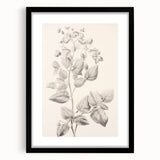 Vintage Botanical Art Print: Detailed Floral Leaf Illustration